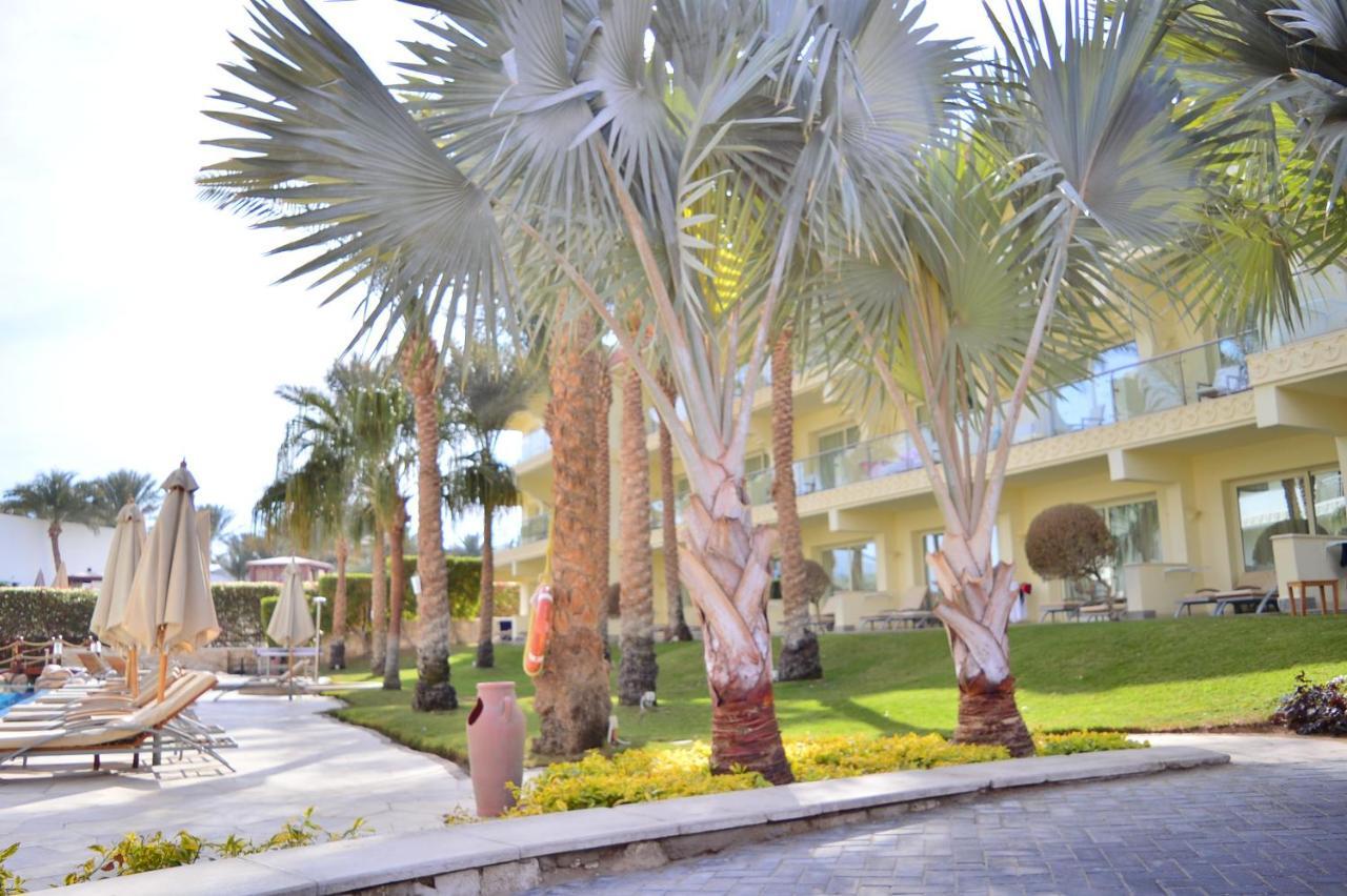 Xperience Sea Breeze Resort (Adults Only) Sharm el Sheikh Esterno foto Latania loddigesii
